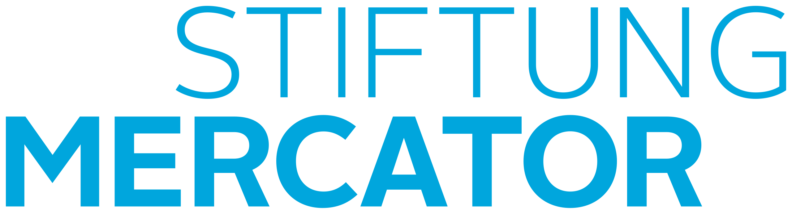 Stiftung Mercator